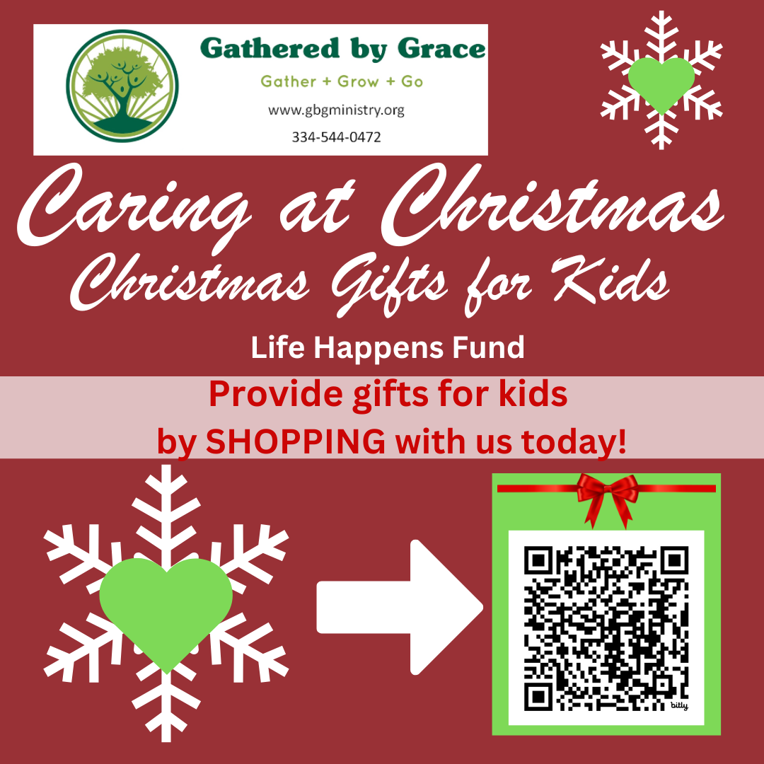 Caring at Christmas Gift List