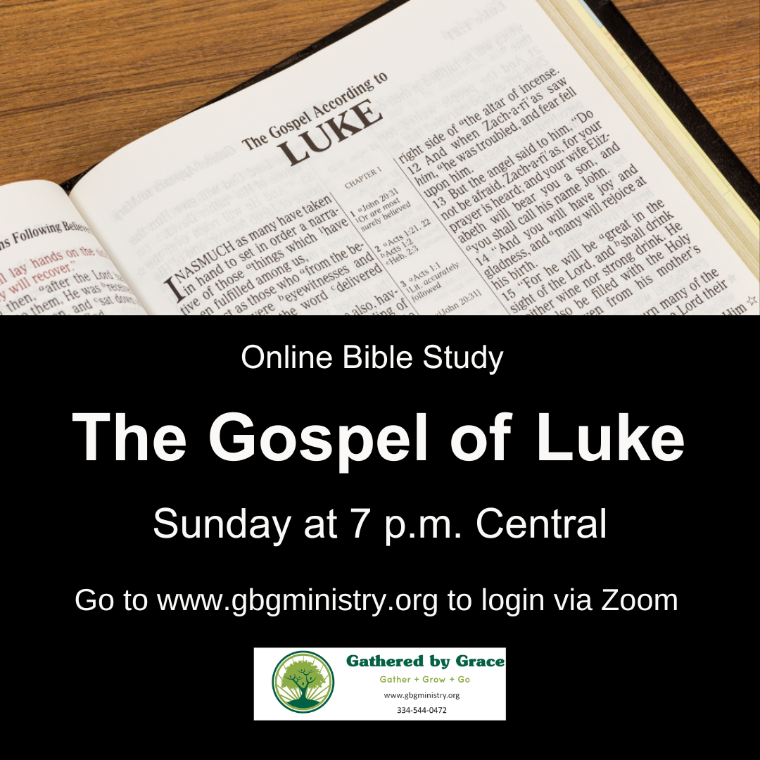 Gospel of Luke Online Bible Study (5)